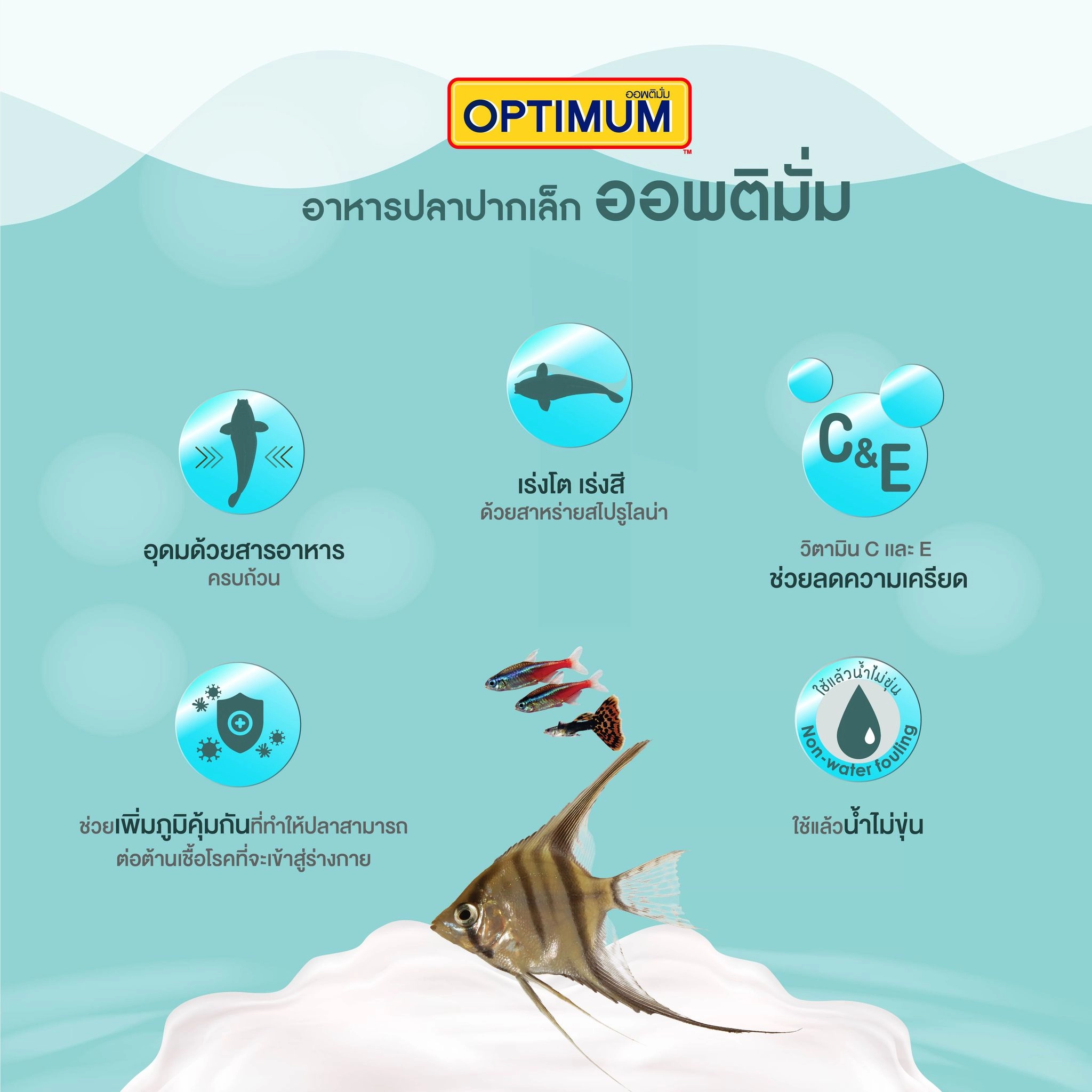 C.P. Micro Pellet  อาหารปลาปากเล็ก (ฟ้า) 50 ก.