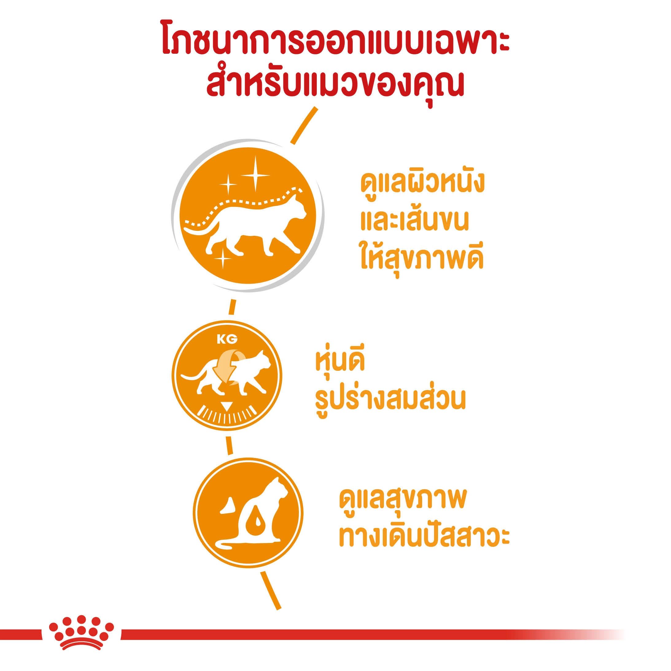 Royal Canin อาหารเปียกแมว สูตร Hair&Skin (บำรุงขนและผิวหนัง) ชนิดซอง 85 กรัม