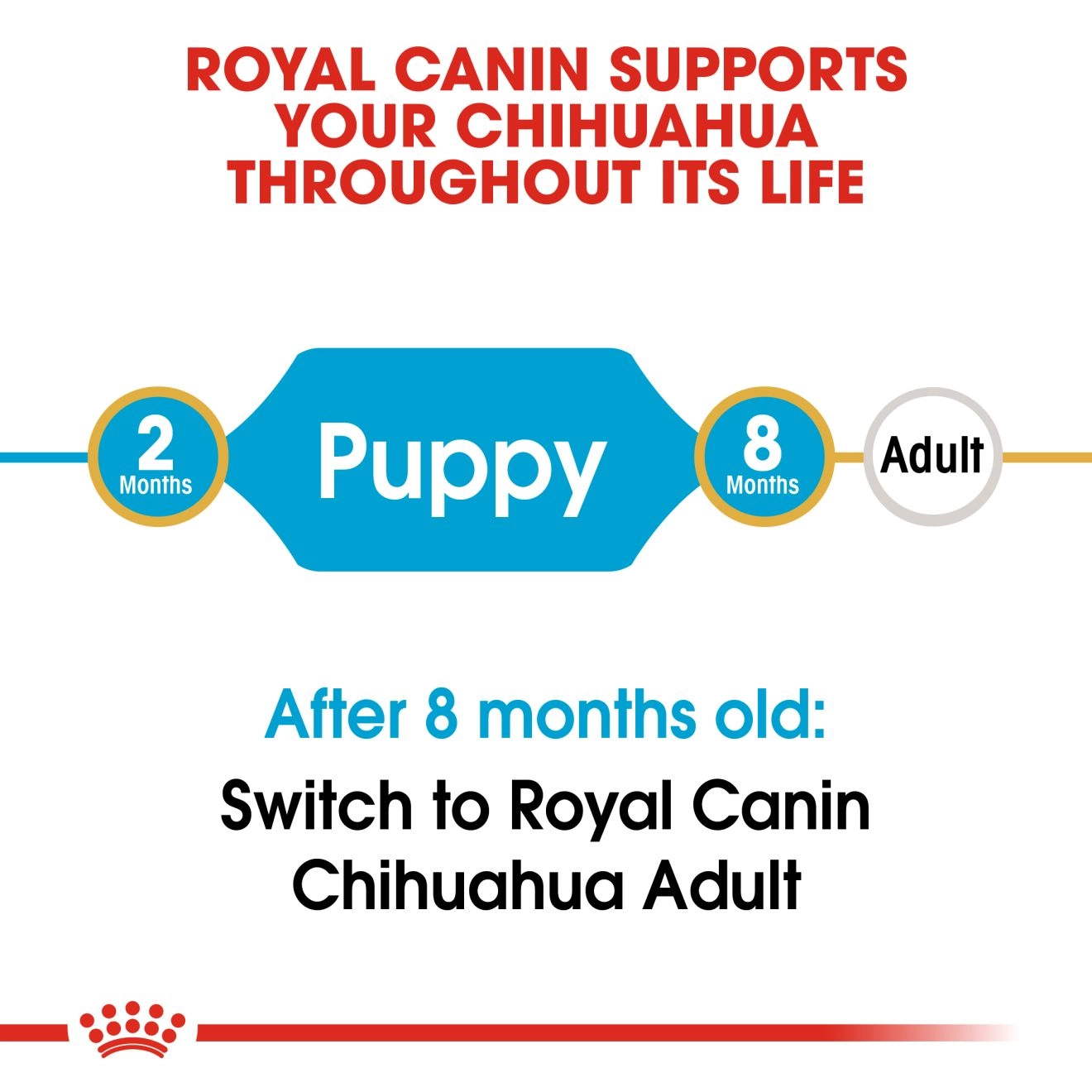 ROYAL CANIN Chihuahua Puppy อาหารเม็ดสำหรับลูกสุนัขพันธุ์ชิวาวา