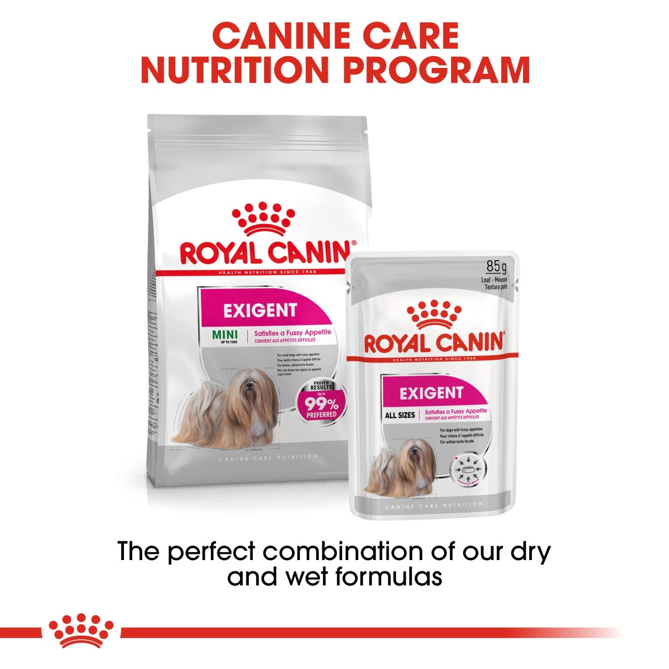 Royal Canin อาหารเปียกสุนัข สูตร Exigent Loaf (ทานยาก ช่างเลือกอาหาร) ชนิดซอง สำหรับสุนัขโตพันธุ์เล็ก 85 กรัม