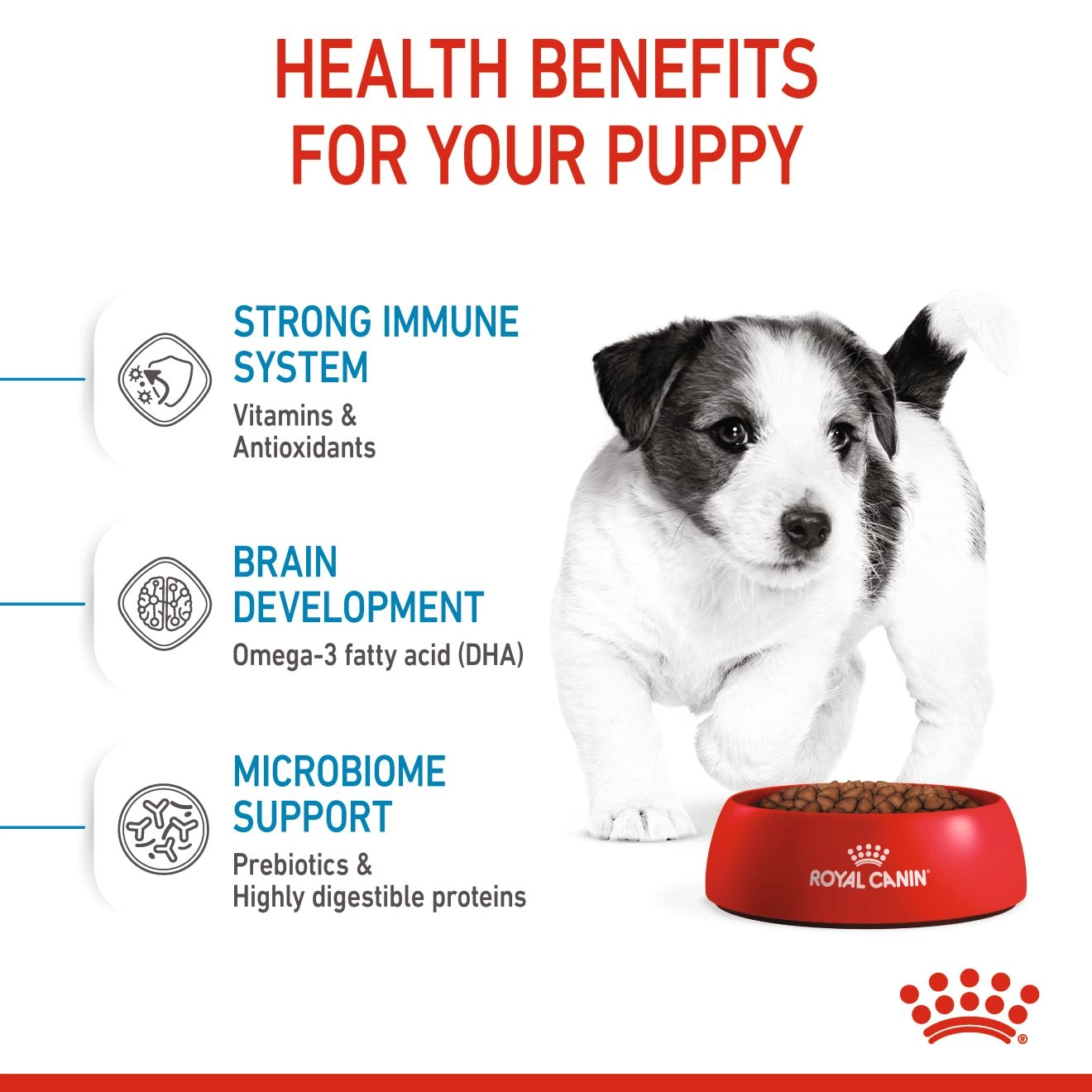 ROYAL CANIN Mini Puppy อาหารเม็ด สำหรับลูกสุนัขพันธุ์เล็ก