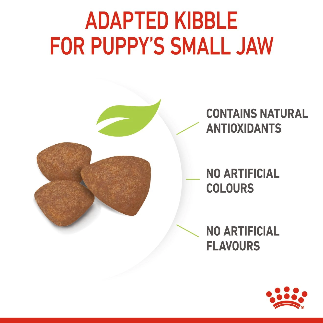 ROYAL CANIN Mini Puppy อาหารเม็ด สำหรับลูกสุนัขพันธุ์เล็ก