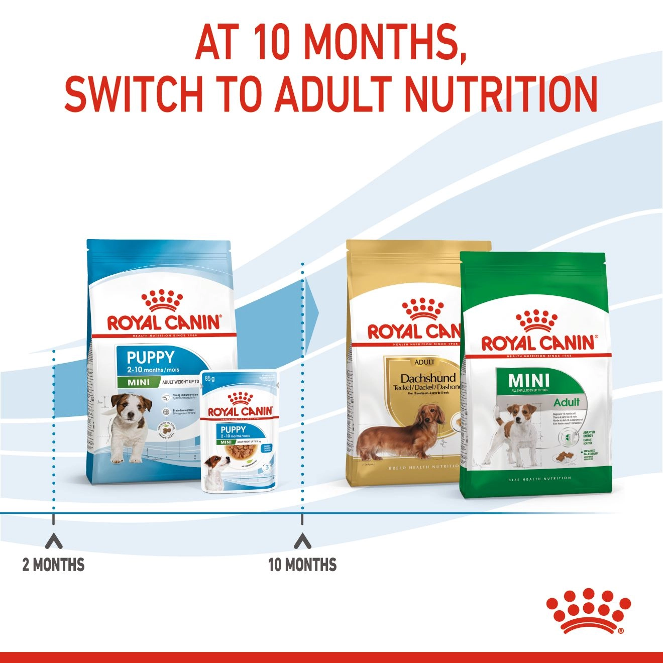 ROYAL CANIN Mini Puppy อาหารเม็ด สำหรับลูกสุนัขพันธุ์เล็ก