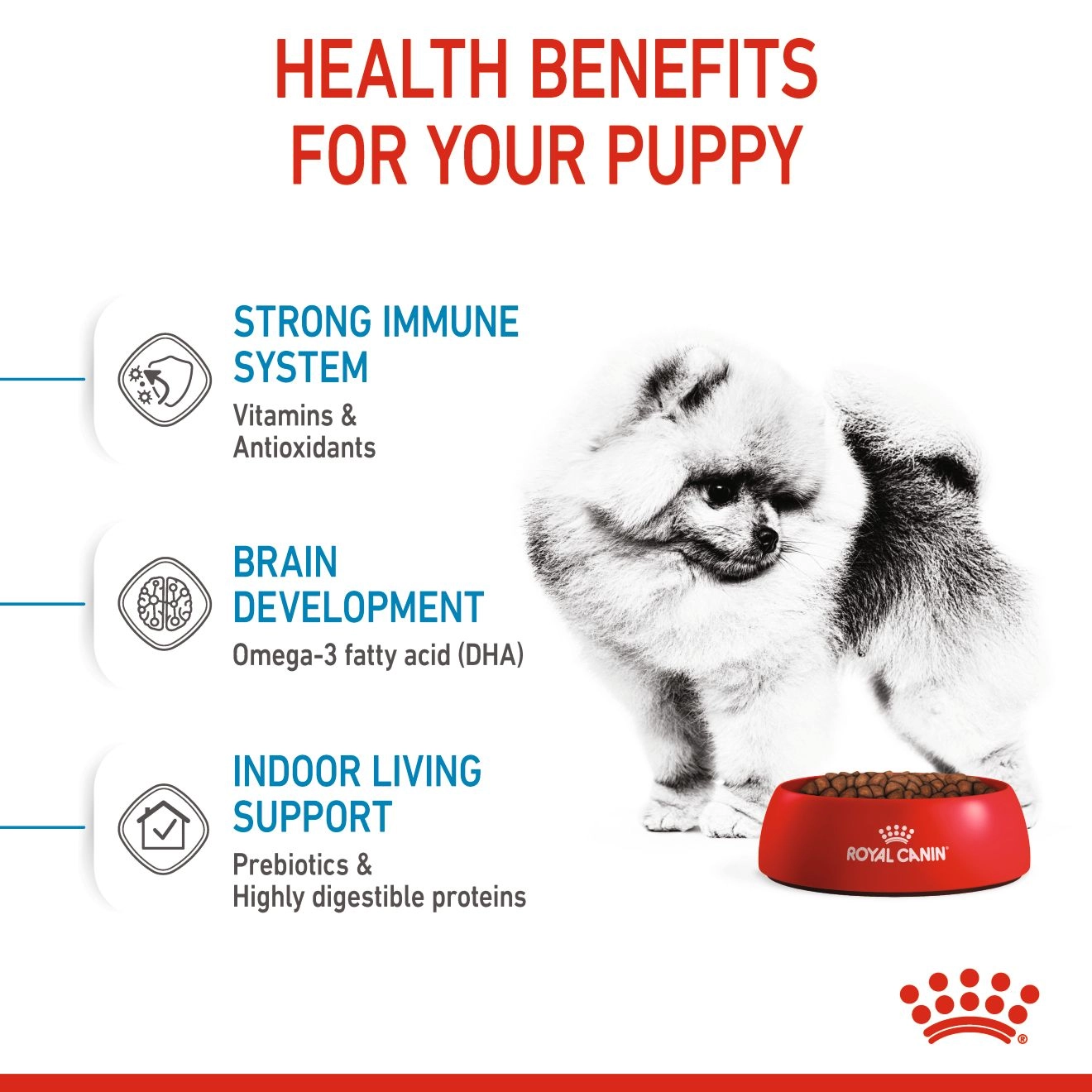 Royal Canin Mini Indoor Puppy อาหารเม็ดสำหรับลูกสุนัขพันธุ์เล็ก สูตรเลี้ยงในบ้าน