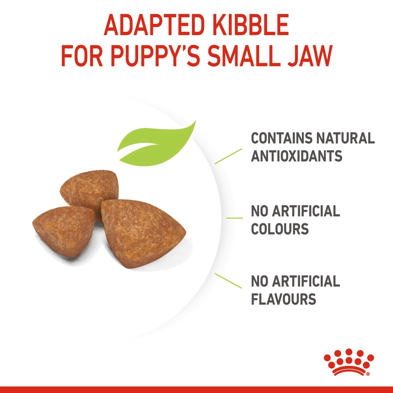 ROYAL CANIN X SMALL PUPPY อาหารเม็ดสำหรับลูกสุนัขพันธุ์จิ๋ว