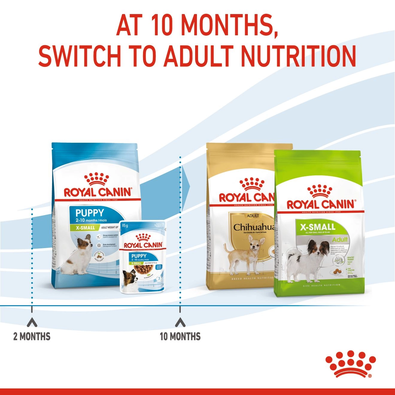 ROYAL CANIN X SMALL PUPPY อาหารเม็ดสำหรับลูกสุนัขพันธุ์จิ๋ว