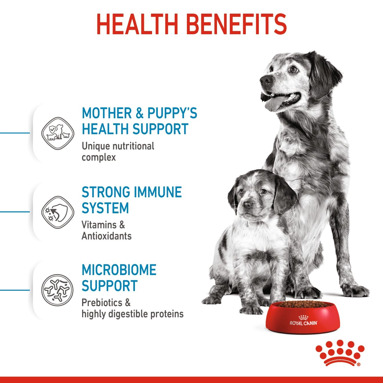 ROYAL CANIN Medium Starter Mother & Baby Dog อาหารเม็ดสำหรับแม่สุนัขและลูกสุนัขพันธุ์กลาง