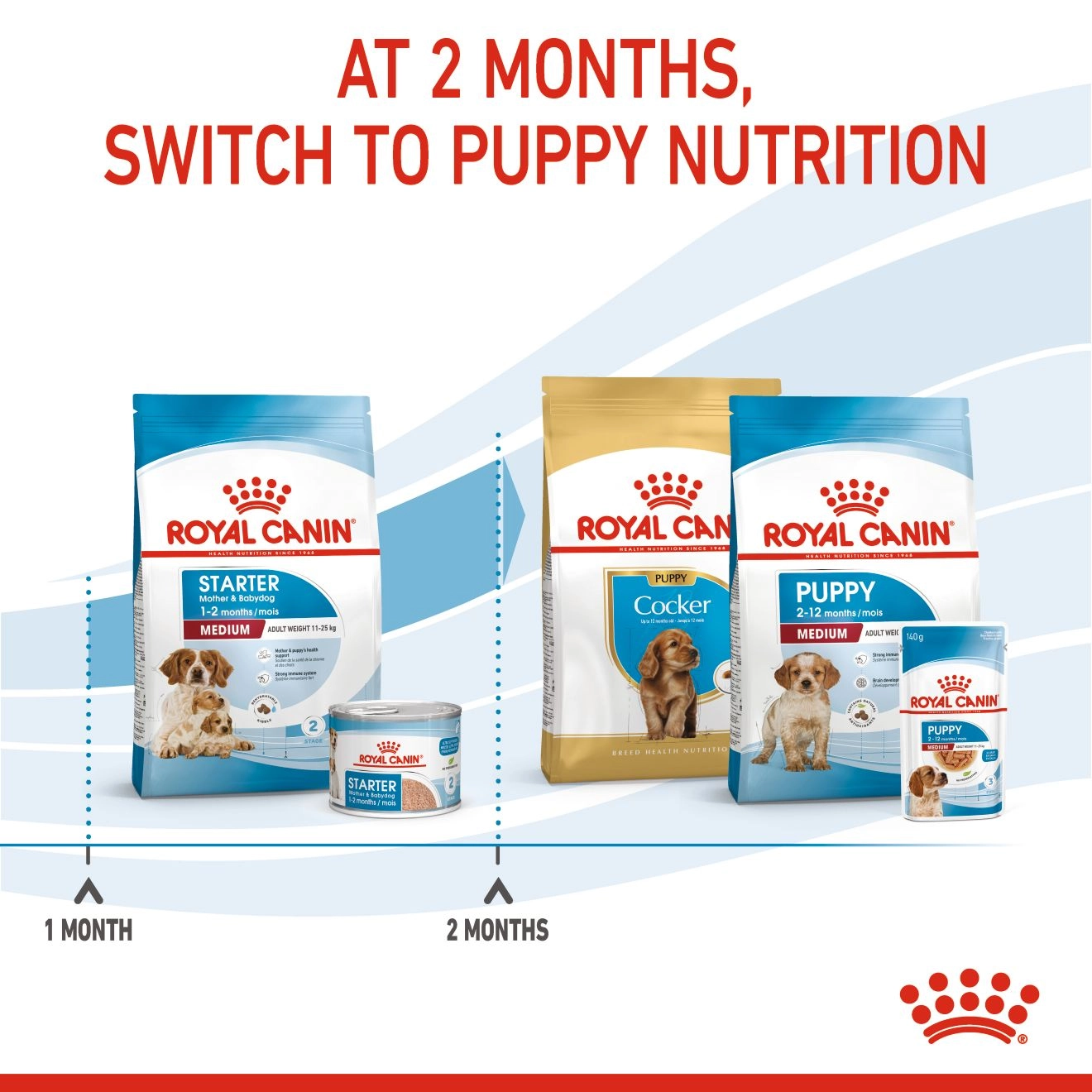 ROYAL CANIN Medium Starter Mother & Baby Dog อาหารเม็ดสำหรับแม่สุนัขและลูกสุนัขพันธุ์กลาง