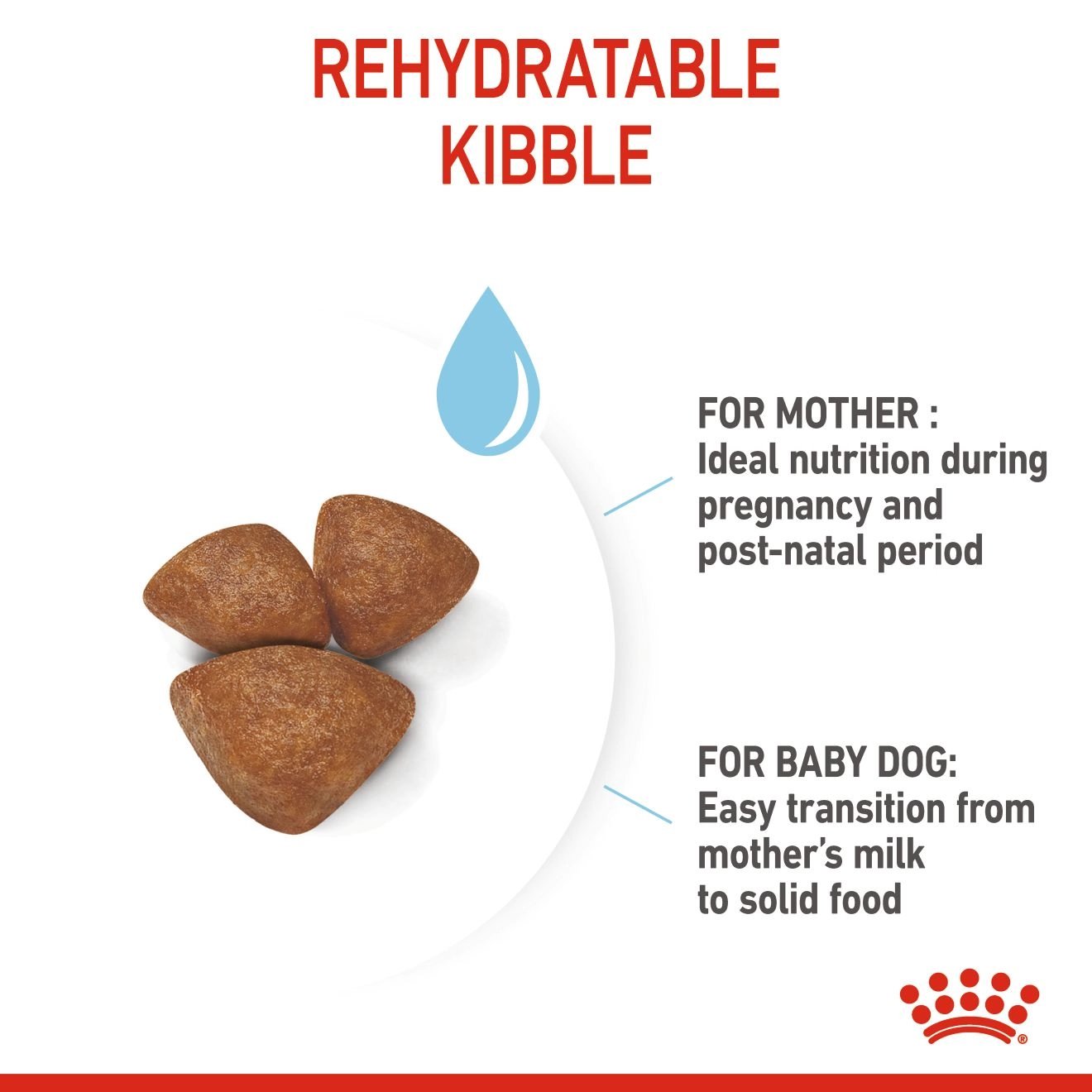 ROYAL CANIN Mini Starter Mother & Baby อาหารเม็ดสำหรับแม่สุนัขและลูกสุนัขพันธุ์เล็ก