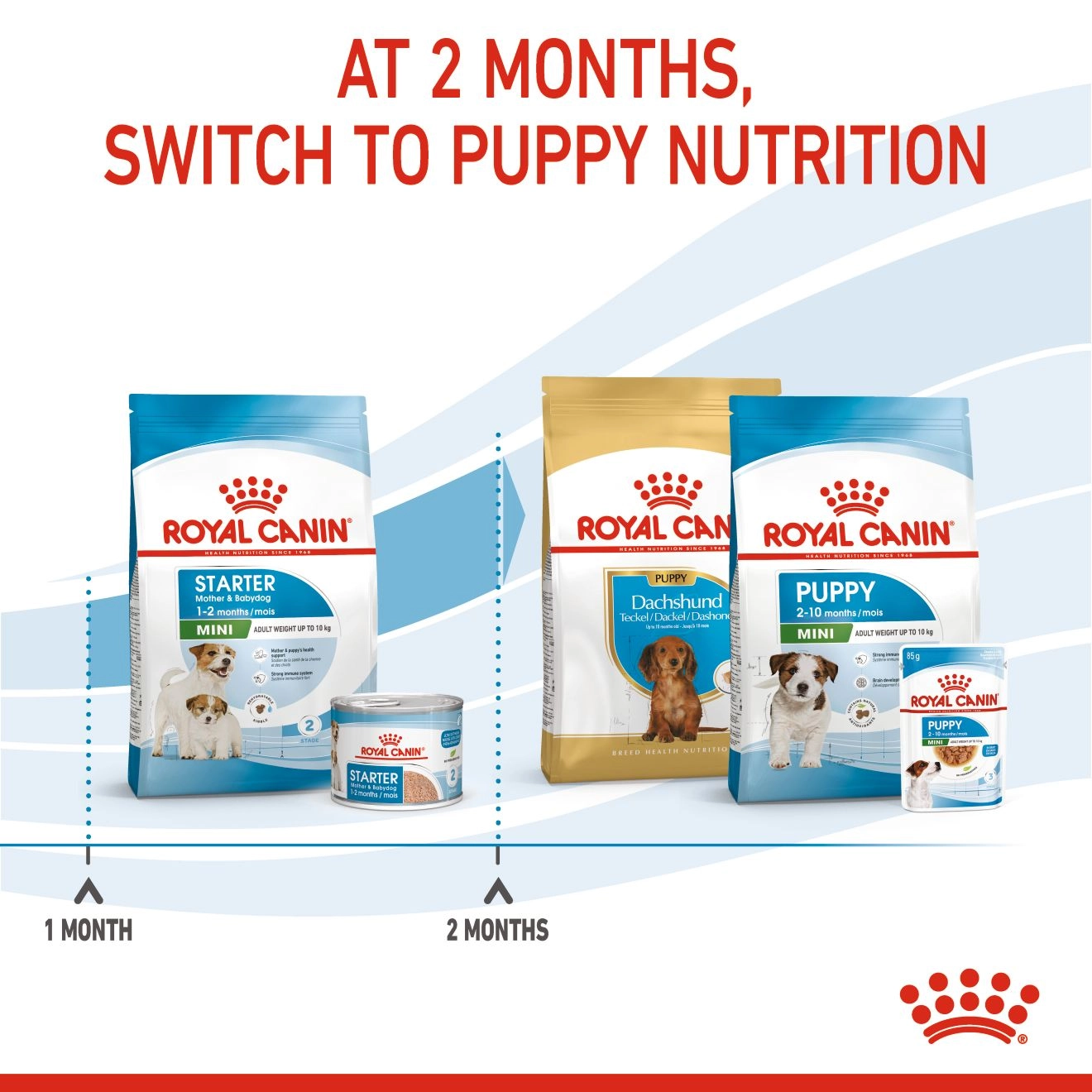 ROYAL CANIN Mini Starter Mother & Baby อาหารเม็ดสำหรับแม่สุนัขและลูกสุนัขพันธุ์เล็ก