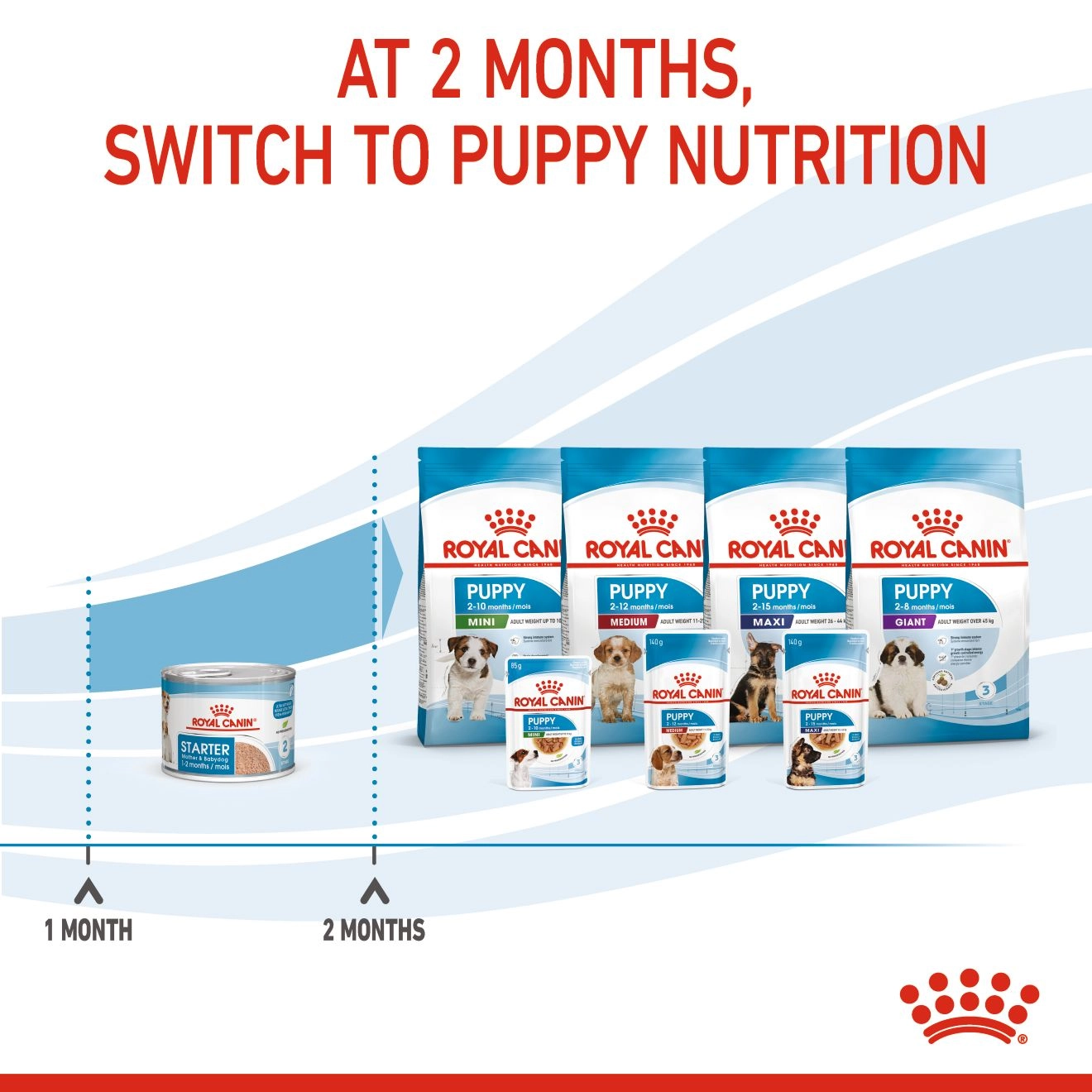 Royal Canin อาหารเปียกสุนัข (เนื้อมูส) สูตร Starter Mousse สำหรับแม่สุนัข และลูกสุนัข ชนิดกระป๋อง 195 กรัม