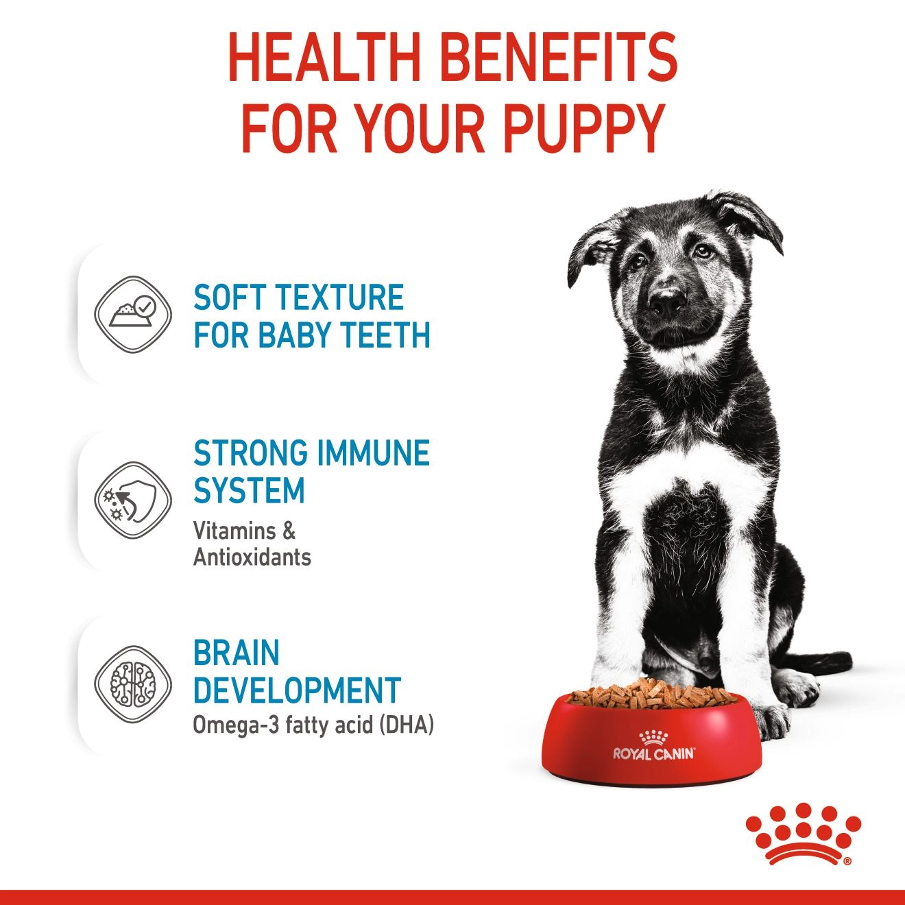 Royal Canin อาหารเปียกสุนัข สูตร Maxi Puppy สำหรับลูกสุนัข พันธุ์ใหญ่ ชนิดซอง 140 กรัม