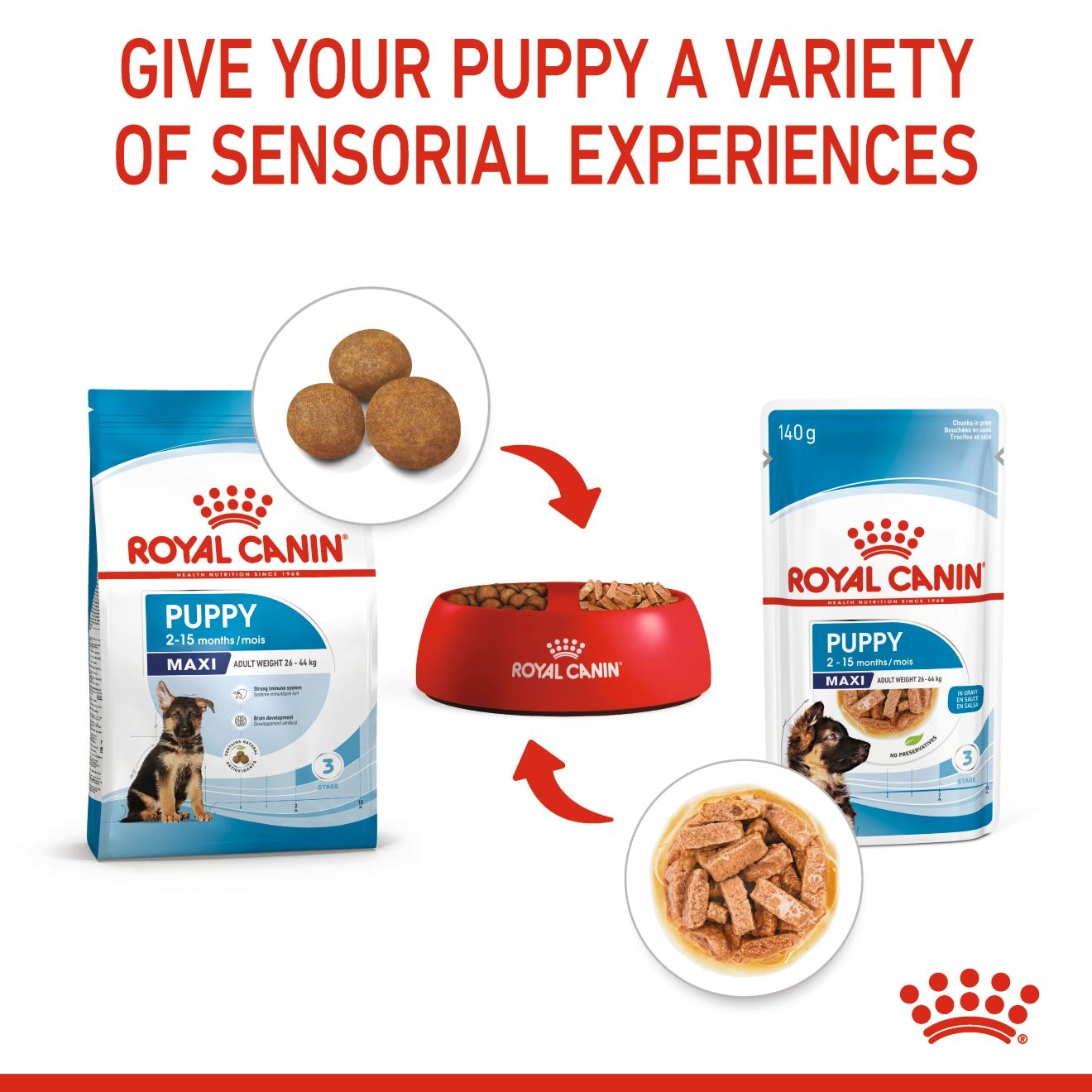 Royal Canin อาหารเปียกสุนัข สูตร Maxi Puppy สำหรับลูกสุนัข พันธุ์ใหญ่ ชนิดซอง 140 กรัม