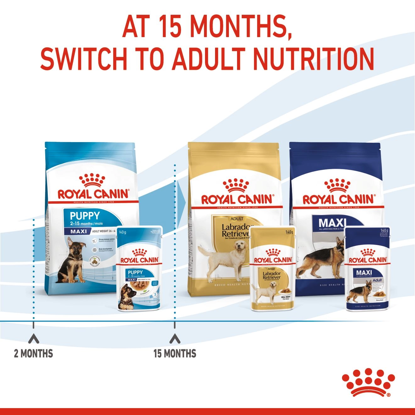 Royal Canin อาหารเปียกสุนัข สูตร Maxi Puppy สำหรับลูกสุนัข พันธุ์ใหญ่ ชนิดซอง 140 กรัม