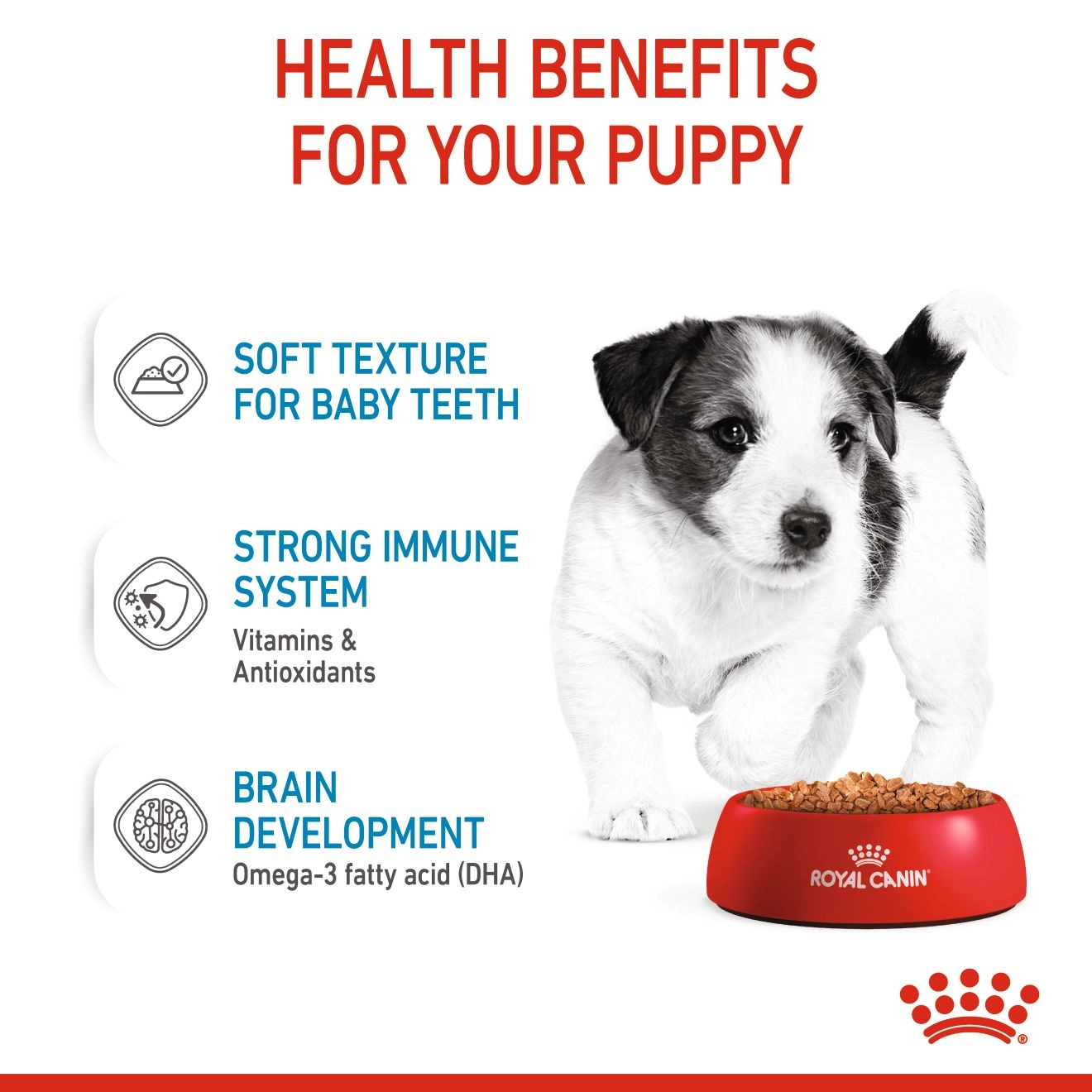 Royal Canin อาหารเปียกสุนัข สูตร Mini Puppy สำหรับลูกสุนัขอายุ 2-10 เดือน 85 กรัม