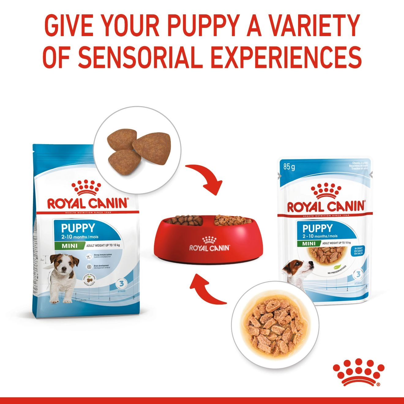 Royal Canin อาหารเปียกสุนัข สูตร Mini Puppy สำหรับลูกสุนัขอายุ 2-10 เดือน 85 กรัม