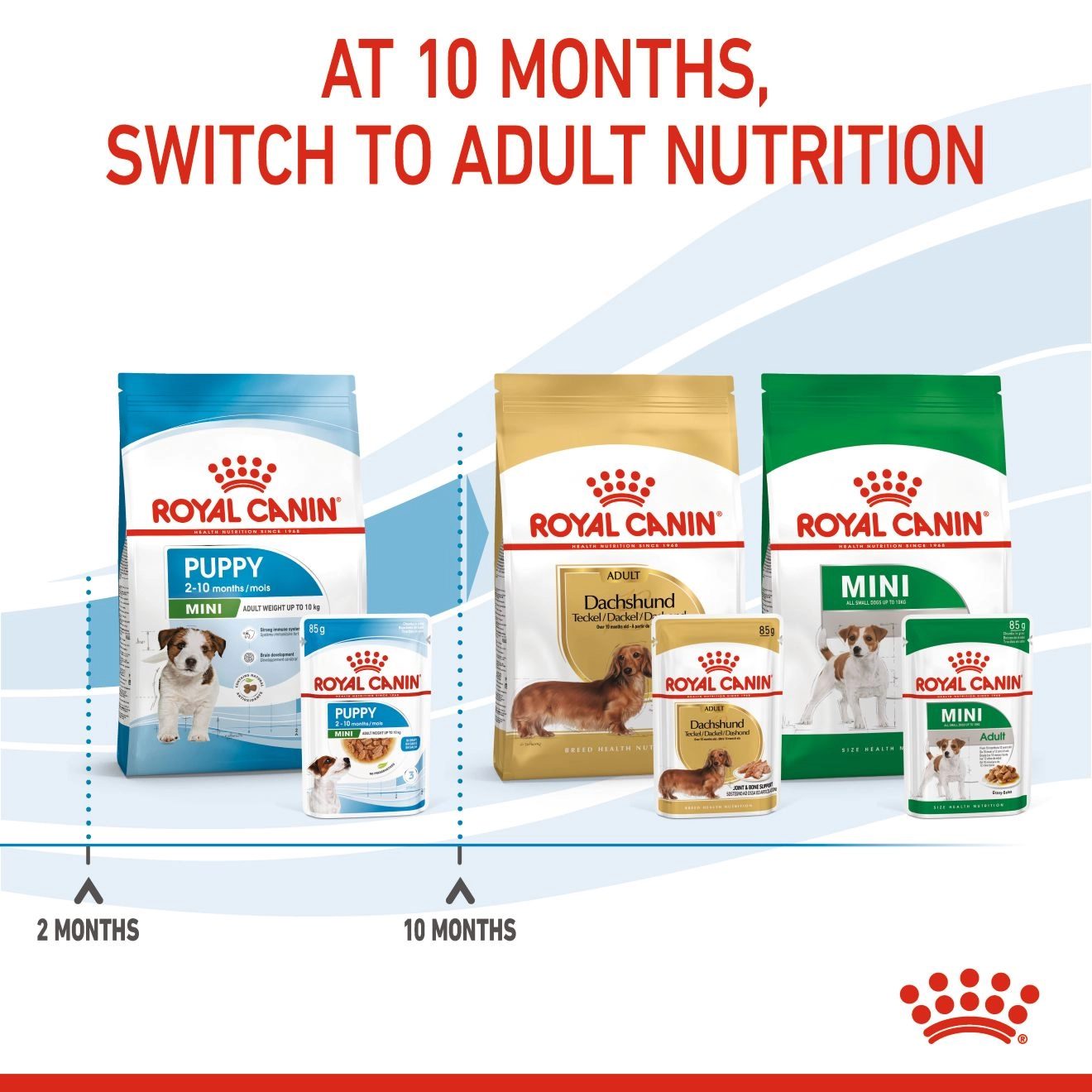 Royal Canin อาหารเปียกสุนัข สูตร Mini Puppy สำหรับลูกสุนัขอายุ 2-10 เดือน 85 กรัม