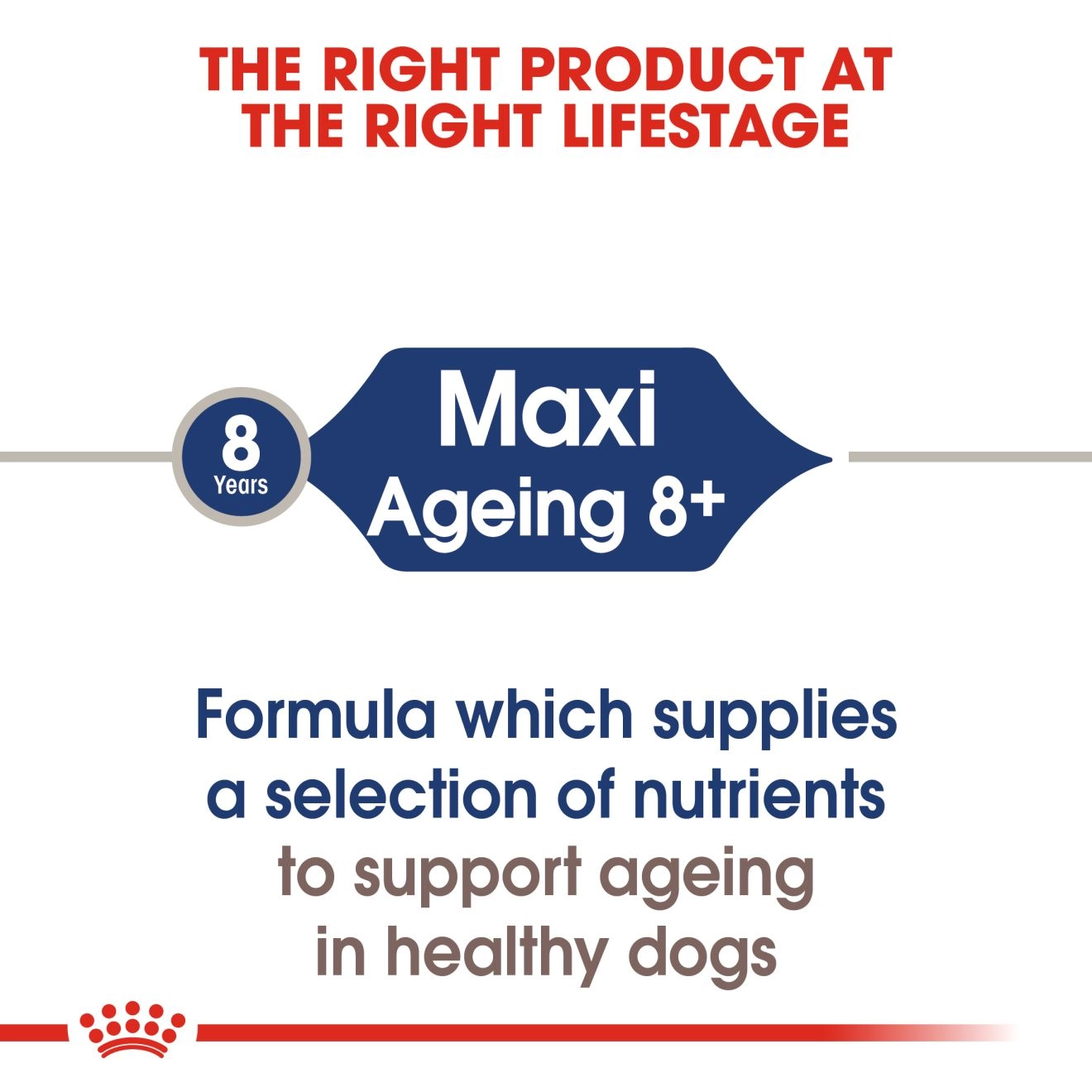 Royal Canin อาหารเปียกสุนัข สูตร Maxi Ageing 8+ สำหรับสุนัขสูงวัยพันธุ์ใหญ่ อายุ 8 ปีขึ้นไป 140 กรัม