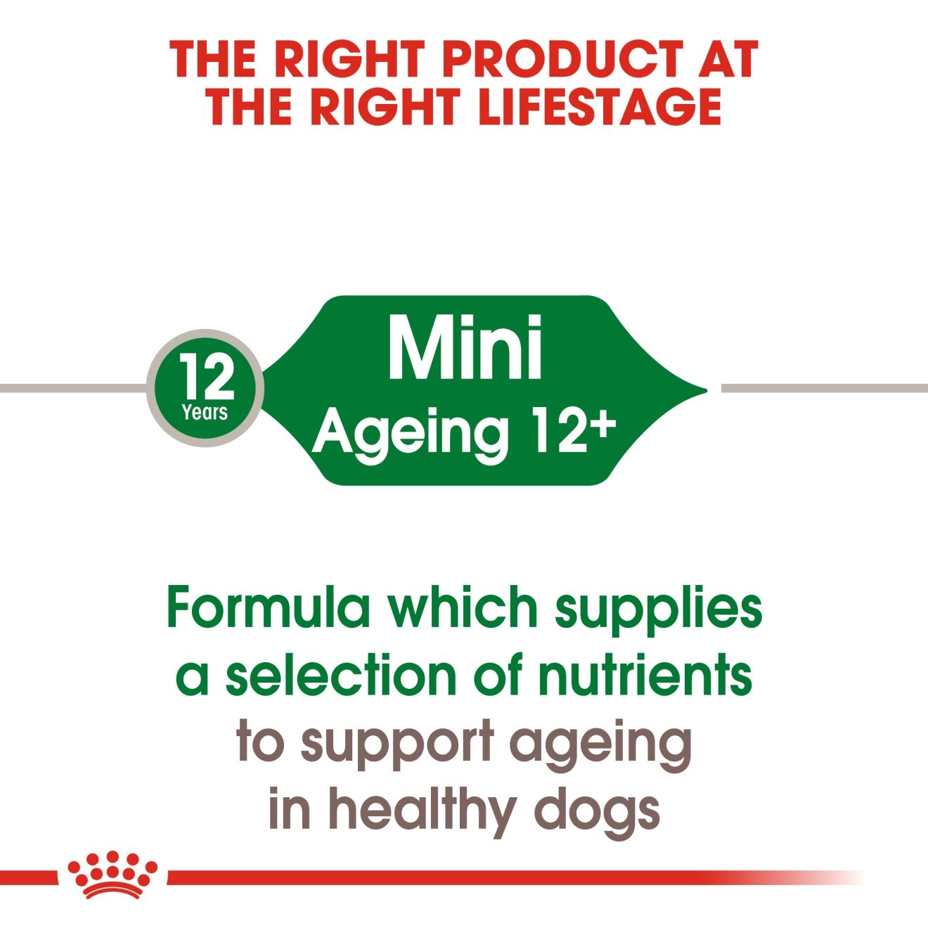 Royal Canin อาหารเปียกสุนัข สูตร Mini Ageing 12+ สำหรับสุนัขสูงวัยอายุ 12 ปีขึ้นไป พันธุ์เล็ก 85 กรัม