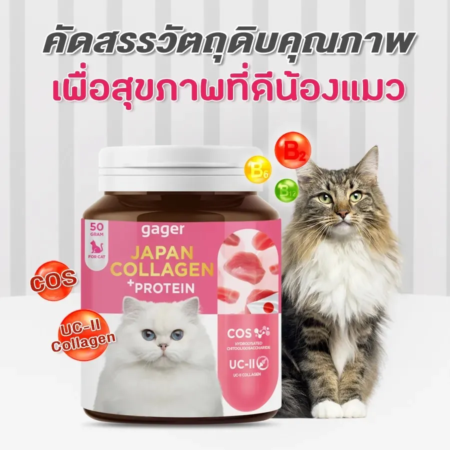 Gager COLLAGEN + PROTEIN 30g.