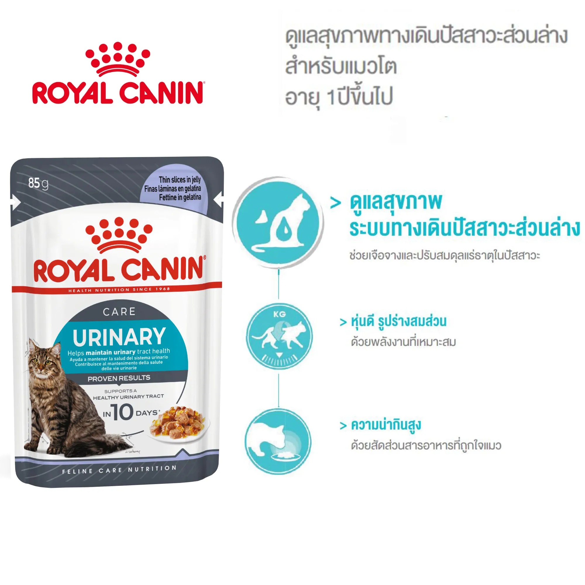 Royal Canin อาหารเปียกแมว สูตร Urinary Care (ดูแลสุขภาพทางเดินปัสสาวะ) ชนิดซอง 85 กรัม