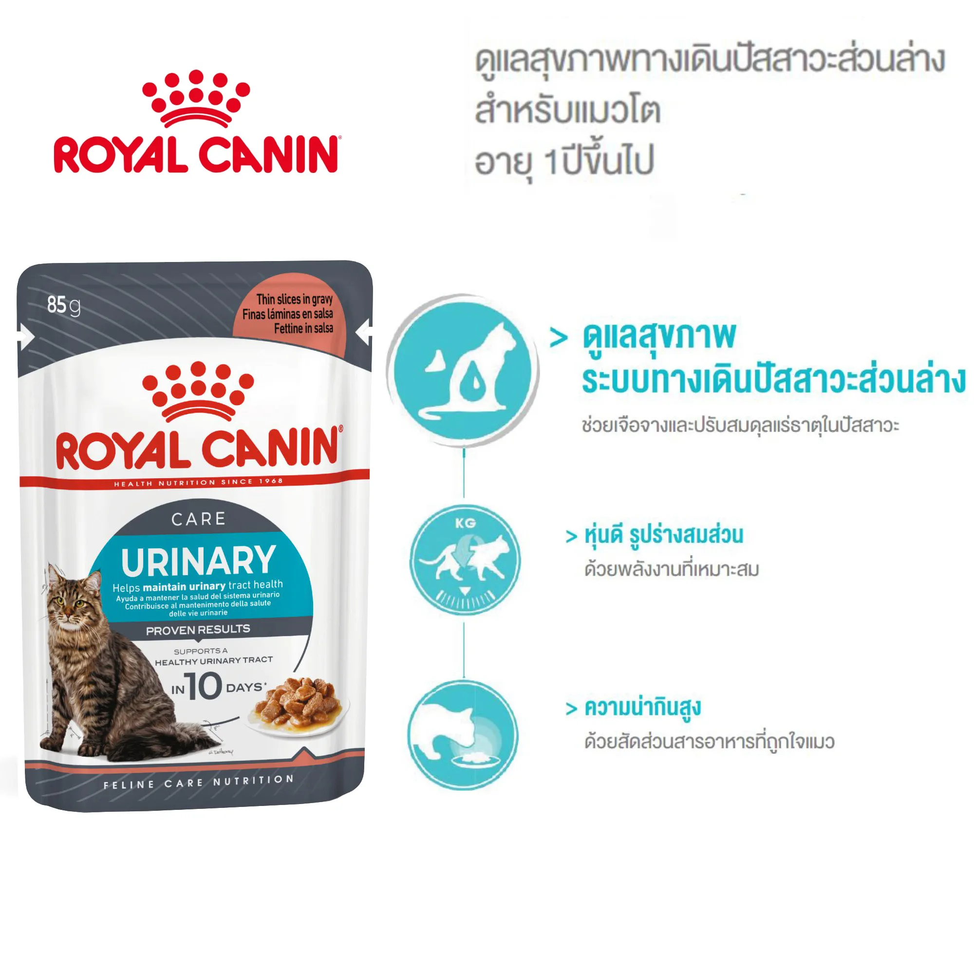 Royal Canin อาหารเปียกแมว สูตร Urinary Care (ดูแลสุขภาพทางเดินปัสสาวะ) ชนิดซอง 85 กรัม