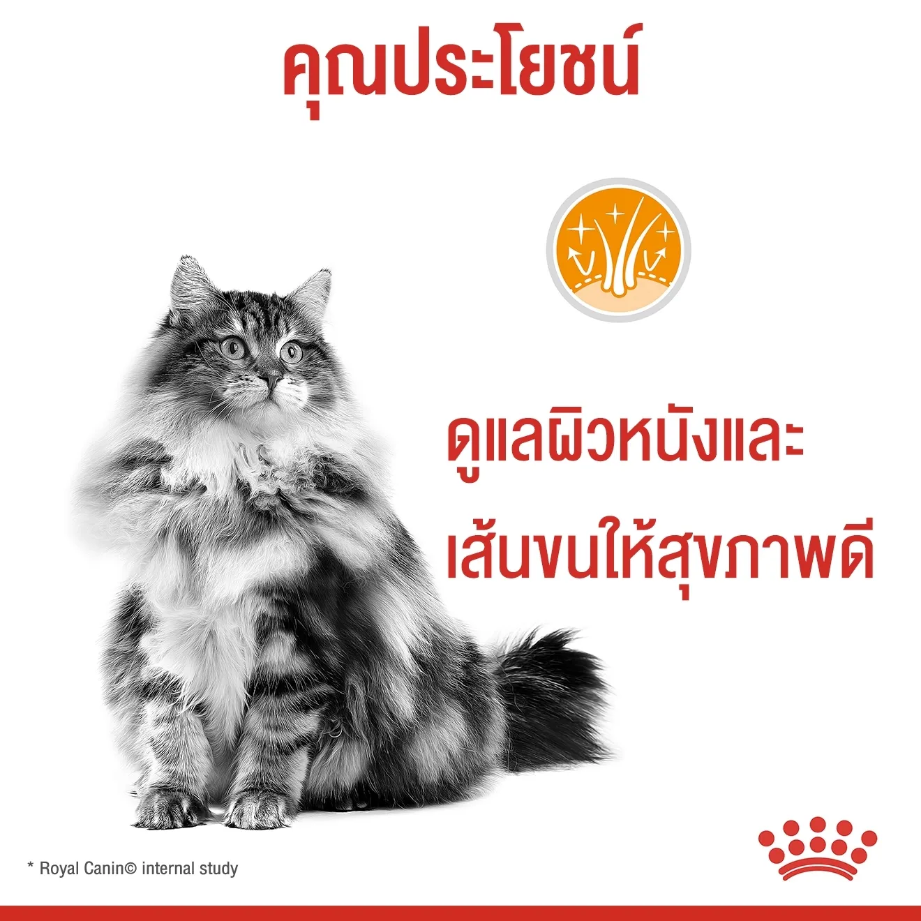 Royal Canin อาหารเปียกแมว สูตร Hair&Skin (บำรุงขนและผิวหนัง) ชนิดซอง 85 กรัม