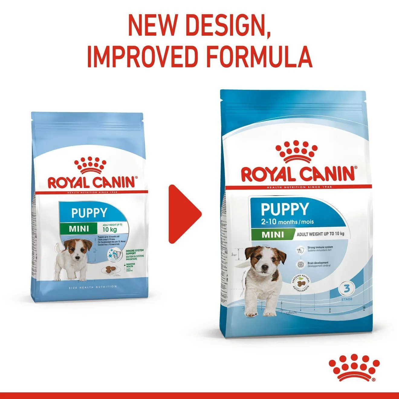 ROYAL CANIN Mini Puppy อาหารเม็ด สำหรับลูกสุนัขพันธุ์เล็ก