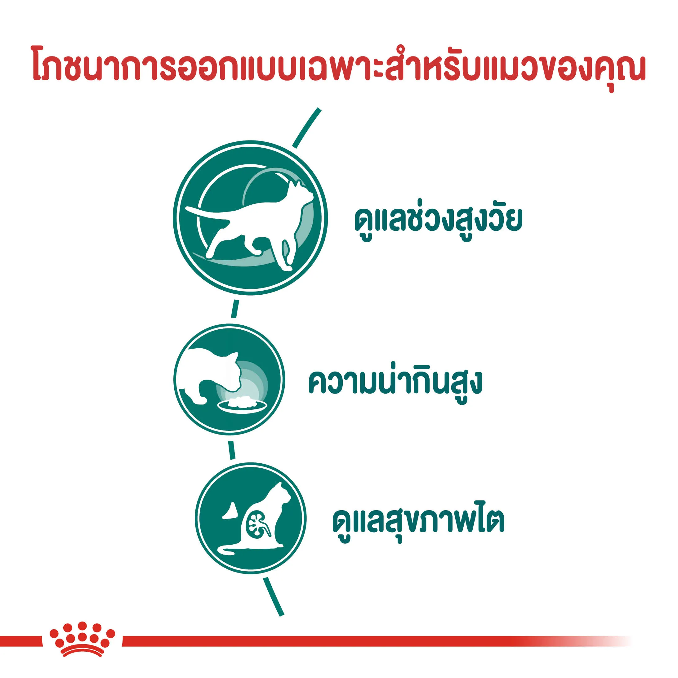 Royal Canin อาหารเปียกแมว สูตร Instinctive 7+ แมวสูงวัยอายุ 7 ปีขึ้นไป