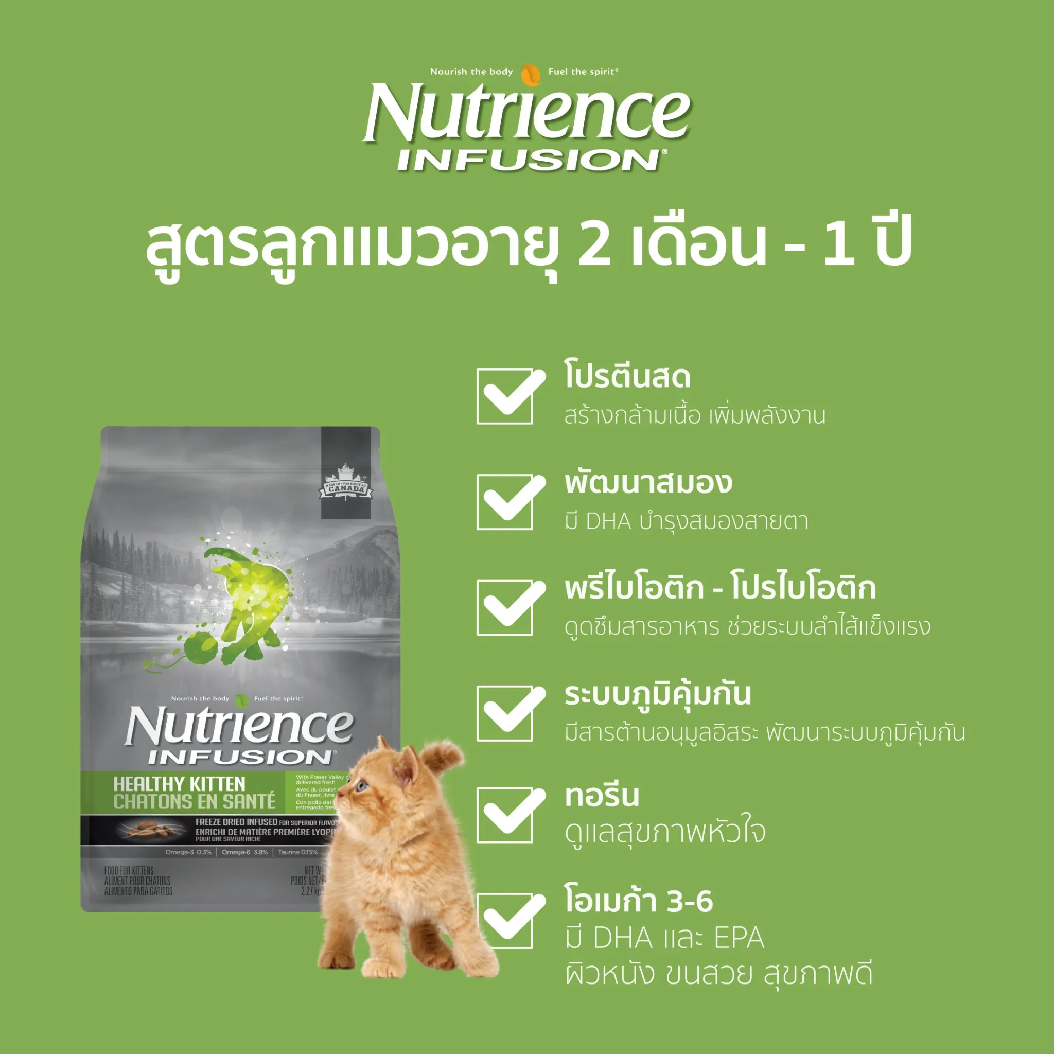 Nutrience Infusion Kitten อาหารแมวสูตรสำหรับลูกแมว