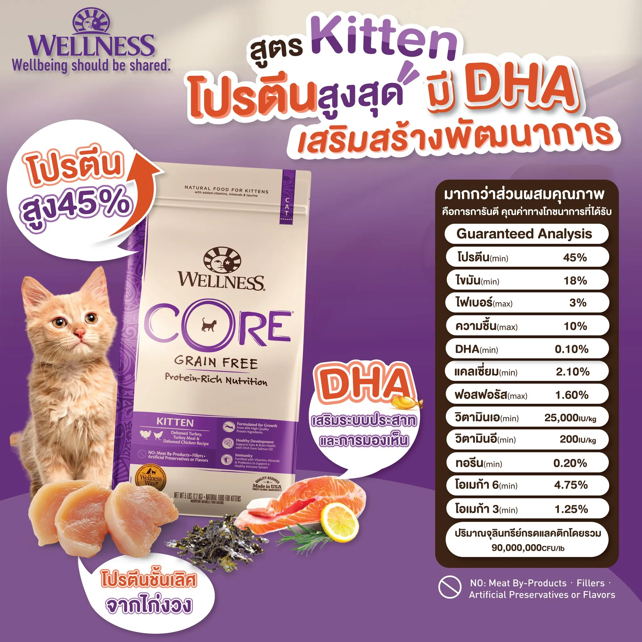 WELLNESS CORE  Kitten อาหารเม็ด สำหรับลูกแมวทุกสายพันธุ์ สูตรไก่งวง และไก่เลาะกระดูก