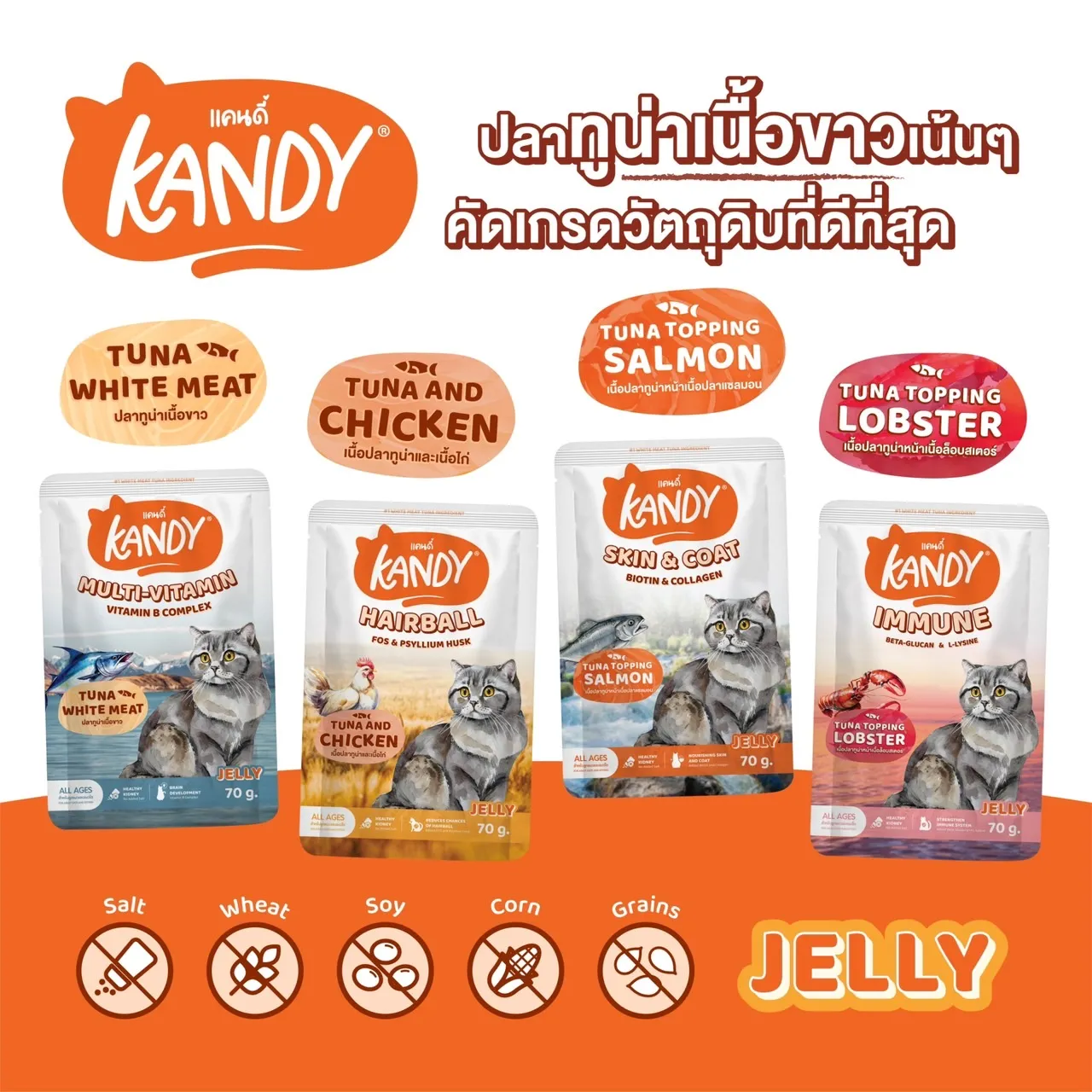 Kandy อาหารเปียกแมว Jelly 70g.