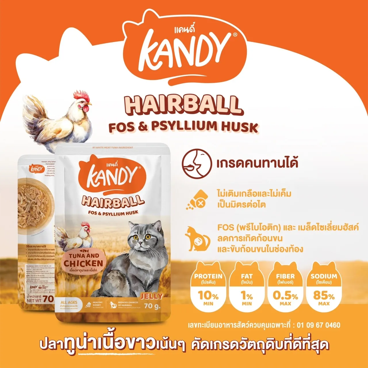 Kandy อาหารเปียกแมว Jelly 70g.