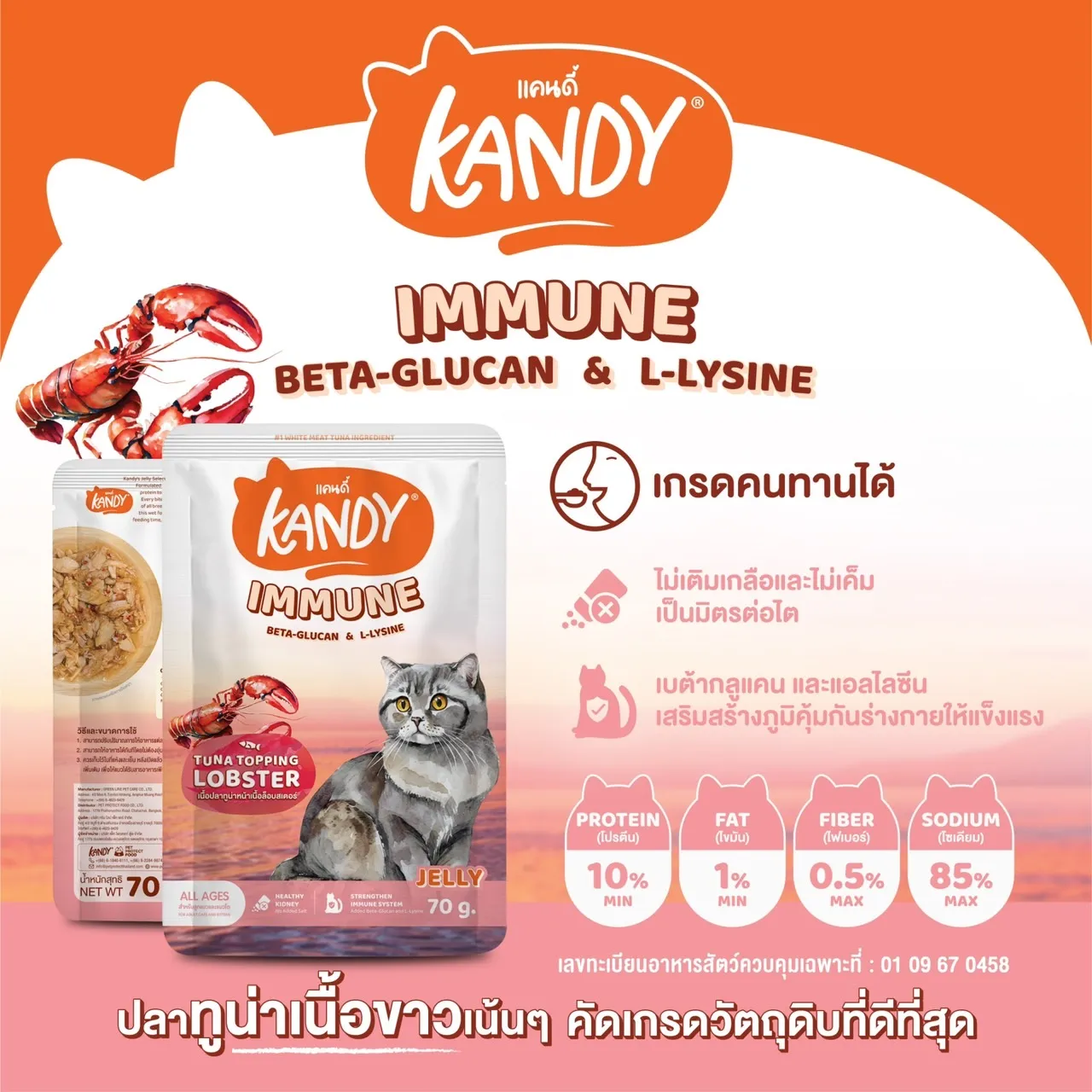 Kandy อาหารเปียกแมว Jelly 70g.